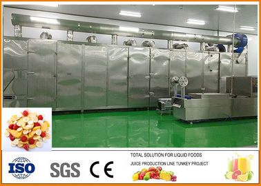 Çin Meyve ve Sebze Kurutulmuş Meyve Üretim Hattı ISO9001 Sertifikası Tedarikçi