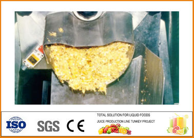 Çin Endüstriyel Ananas İşleme Hattı 15T / H Komple CFM-B-02-15T Tedarikçi