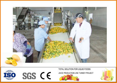 Çin CFM-M-03-03T 3T / H Mango İşleme Hattı Profesyonel ve Yüksek Verimlilik Tedarikçi