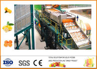 SUS 304 Turnkey Orange Juice Production Line with Siemens PLC  Touch Screen
