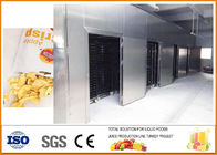 Dried Apple Chip Production Line SS304 Small Complete CFM-A-03-21T