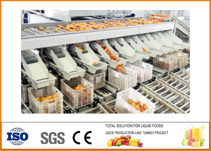 20T/H Capacity Orange Juice Production Line , Orange Juice Processing Plant