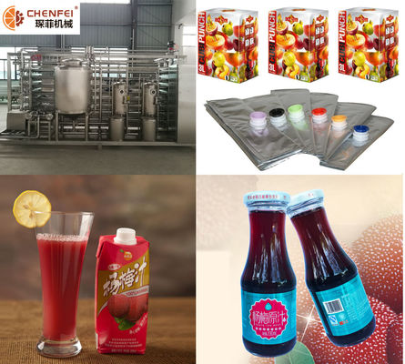 SS304 Anahtar Teslim Waxberry İçecek Suyu Yapma Makinesi İşleme Hattı CFM-B-07