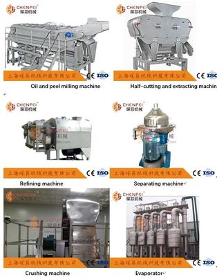 5T / H NFC Narenciye Portakal Suyu Üretim Hattı CFM-A-02-312-312 Yüksek Verimlilik