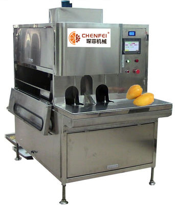 Kompakt Yapı Mango İşleme Hattı Yapıştırma İşleme Hattı Günde 5 Ton