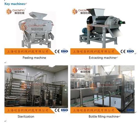 Özel Nar Suyu Üretim Hattı 5T / H ISO9001 Sertifikası